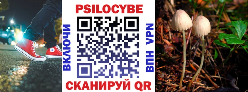 Галлюциногенные грибы MAGIC MUSHROOMS Иннополис