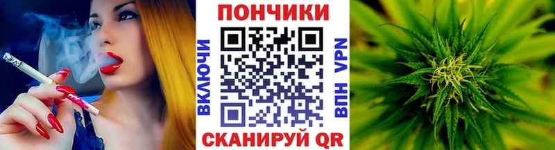 Каннабис планчик  Иннополис 